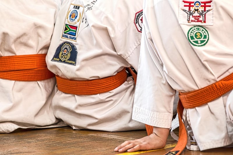 Martial Arts Form